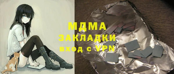 шишки Дегтярск