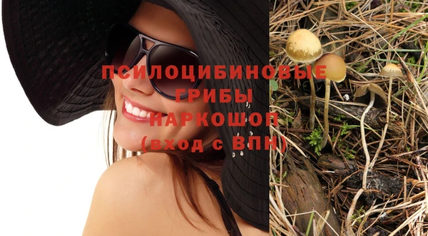 шишки Дегтярск