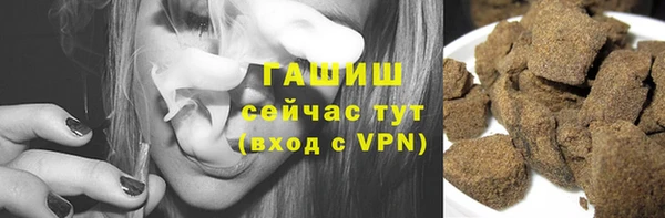 шишки Дегтярск
