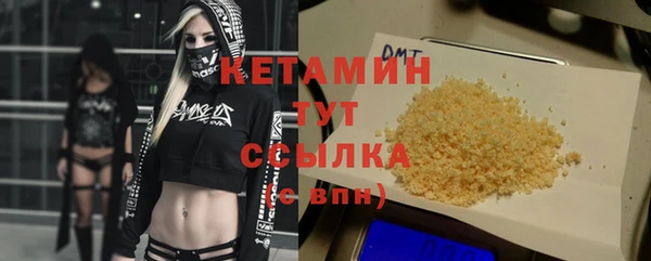 шишки Дегтярск