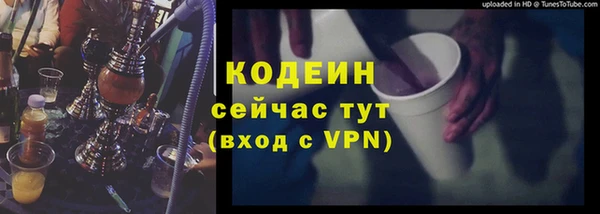 шишки Дегтярск