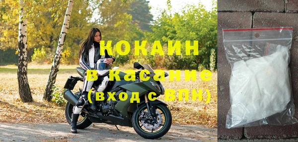 шишки Дегтярск