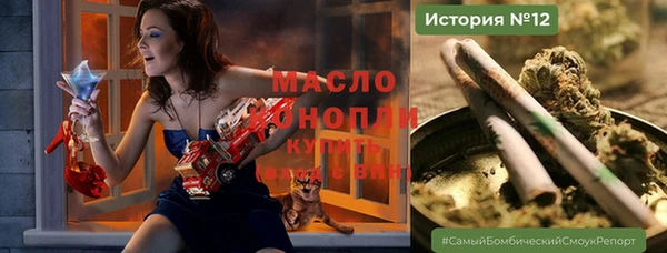 шишки Дегтярск