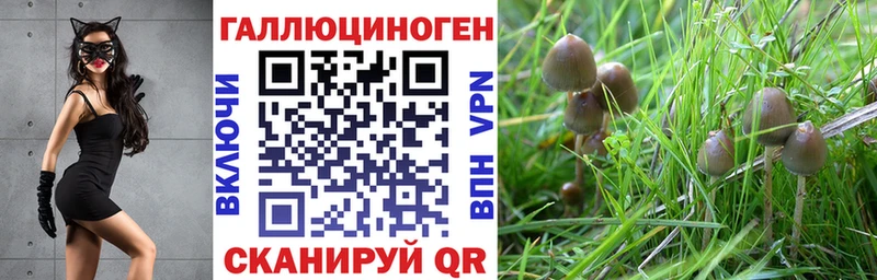 Галлюциногенные грибы Magic Shrooms  Когалым 