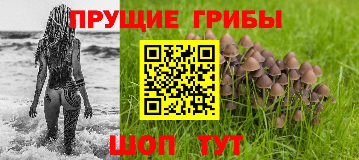 Галлюциногенные грибы Cubensis  Когалым  Галлюциногенные грибы MAGIC MUSHROOMS 